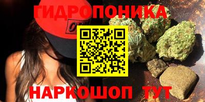 МДПВ Будённовск