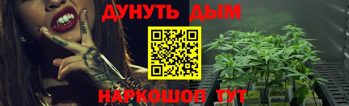 Бошки марихуана марихуана Ачинск